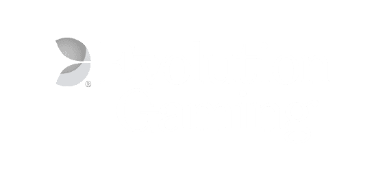 پے پیس logo